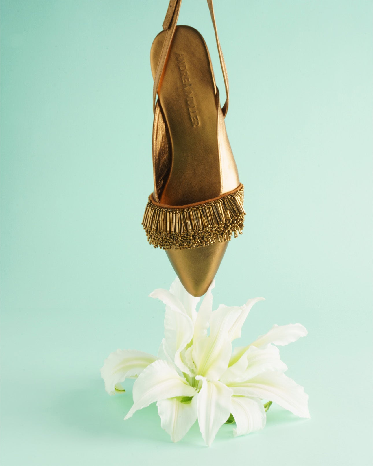 Slingback dourada com franja de miçangas sobre um lírio branco, fundo verde-água, Andrea Muller